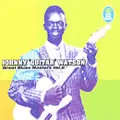 JOHNNY GUITAR WATSON / ジョニー・ギター・ワトスン / GREAT BLUES MASTERS VOL.8 / グレイト・ブルース・マスターズ VOL.8