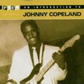 JOHNNY COPELAND / ジョニー・コープランド / INTRODUCTION TO JOHNNY COPELAND