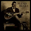 BLIND BLAKE / ブラインド・ブレイク / THE COMPLETE RECORDINGS / ザ・コンプリート・レコーディングス (5CD BOX SET)