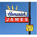 HOMESICK JAMES / ホームシック・ジェイムス / BLUES ON THE SOUTH SIDE