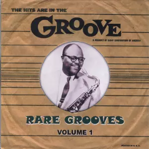 V.A. (RARE GROOVES) / THE HITS ARE IN THE GROOVE : RARE GROOVES VOLUME 1 (CD-R)