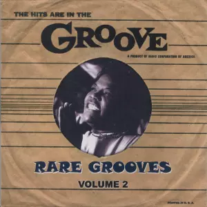 V.A. (RARE GROOVES) / THE HITS ARE IN THE GROOVE : RARE GROOVES VOLUME 2 (CD-R) 