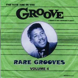 V.A. (RARE GROOVES) / THE HITS ARE IN THE GROOVE : RARE GROOVES VOLUME 4 (CD-R) 