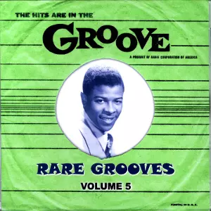 V.A. (RARE GROOVES) / THE HITS ARE IN THE GROOVE : RARE GROOVES VOLUME 5 (CD-R) 