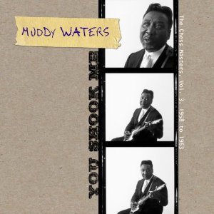 MUDDY WATERS / マディ・ウォーターズ / YOU SHOOK ME: THE CHESS MASTERS VOL.3 1958-1963 (2CD デジパック仕様)