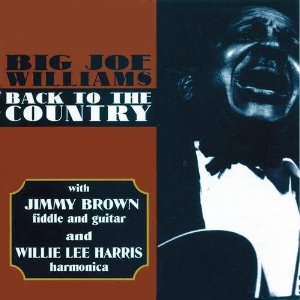 BIG JOE WILLIAMS / ビッグ・ジョー・ウィリアムス / BACK TO THE COUNTRY
