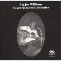 BIG JOE WILLIAMS / ビッグ・ジョー・ウィリアムズ商品一覧
