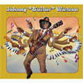 JOHNNY GUITAR WATSON / ジョニー・ギター・ワトスン / FUNK ANTHOLOGY