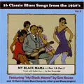 V.A. (CLASSIC BLUES SONGS) / 16 CLASSIC BLUES SONGS FROM THE 1920 VOL.2