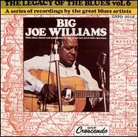 BIG JOE WILLIAMS / ビッグ・ジョー・ウィリアムス / THE LEGACY OF THE BLUES VOL.6