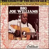 BIG JOE WILLIAMS / ビッグ・ジョー・ウィリアムズ / THE LEGACY OF THE BLUES VOL.6