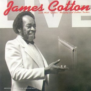 JAMES COTTON / ジェイムズ・コットン / LIVE AT ANTONE'S NIGHTCLUB / ジェイムズ・コットン・ライブ WITH マット・マーフィー&ルーサー・タッカー (国内盤)
