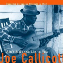 JOE CALLICOTT / ジョー・カリコット / AIN'T A GONNA LIE TO YOU