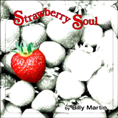 BILLY MARTIN (R&B) / ビリー・マーティン / STRAWBERRY SOUL (LP)