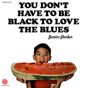 JUNIOR PARKER / ジュニア・パーカー / YOU DON'T HAVE TO BE BLACK TO LOVE THE BLUES  (LP)