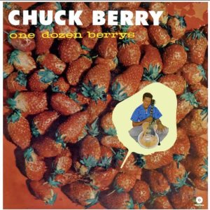 CHUCK BERRY / チャック・ベリー / ONE DOZEN BERRYS (LP 180G)
