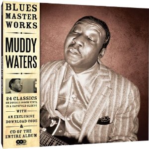 MUDDY WATERS / マディ・ウォーターズ / BLUES MASTERWORKS (2LP 180G + CD)