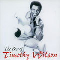 TIMOTHY WILSON / ティモシー・ウィルソン / THE BEST OF TIMOTHY WILSON