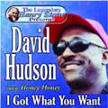 DAVID HUDSON / デイヴィッド・ハドソン / I GOT WHAT YOU WANT