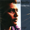 AARON NEVILLE / アーロン・ネヴィル / TELL IT LIKE IT IS (2CD)