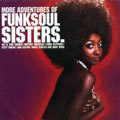 V.A.(MORE ADVENTURES OF FUNKSOUL SISTERS) / MORE ADVENTURES OF FUNKSOUL SISTERS