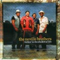 NEVILLE BROTHERS / ネヴィル・ブラザーズ / WALKIN'IN THE SHADOW OF LIFE