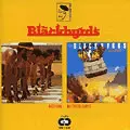 BLACKBYRDS / ブラックバーズ / ACTION + BETTER DAYS (2 ON 1)