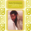 TEDDY PENDERGRASS / テディ・ペンダーグラス / SIGNIFICANT SINGLES THE R&B CHART HITS & FLIPS 1977-84 (2CD)