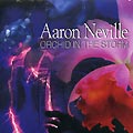 AARON NEVILLE / アーロン・ネヴィル / ORCHID IN THE STORM