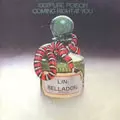100% PURE POISON / 100%・ピュア・ポイズン商品一覧｜SOUL
