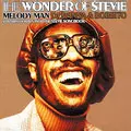 V.A. (WONDER OF STEVIE - DJ SPINNA) / WONDER OF STEVIE 2 - MELODY MAN FUTHER FORAYS INTO THE STEVIE SONGBOOK: COMPILED BY DJ SPINNA & BOBBITO