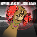 V.A.(NEW ORLEANS WILL RISE AGAIN) / NEW ORLEANS WILL RISE AGAIN