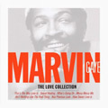 MARVIN GAYE / マーヴィン・ゲイ / LOVE SONGS