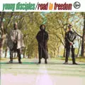 YOUNG DISCIPLES / ヤング・ディサイプルズ / ROAD TO FREEDOM