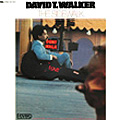 DAVID T. WALKER / デイヴィッド・T.ウォーカー / THE SIDEWALK / ザ・サイドウォーク (国内盤 帯 解説付)