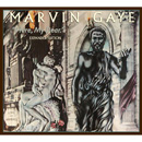 MARVIN GAYE / マーヴィン・ゲイ / HERE MY DEAR (EXPANDED EDITION) / (2CD デジパック仕様)