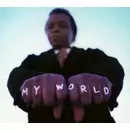 LEE FIELDS & THE EXPRESSIONS / リー・フィールズ&ザ・エクスプレッションズ / MY WORLD / マイ・ワールド(国内盤 帯付 解説付)