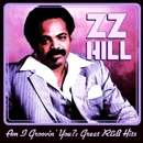 Z.Z. HILL / Z.Z.ヒル / AM I GROOVIN' YOU?: GREAT R&B HITS