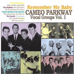 V.A. (CAMEO PARKWAY VOCAL GROUP) / REMEMBER ME BABY: CAMEO PARKWAY VOCAL GROUP VOL.1