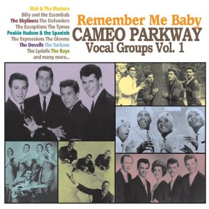 V.A. (CAMEO PARKWAY VOCAL GROUP) / REMEMBER ME BABY: CAMEO PARKWAY VOCAL GROUP VOL.1 