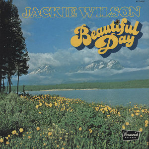 JACKIE WILSON / ジャッキー・ウィルソン / ビューティフル・デイ + 3