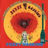 FUZZY HASKINS / ファズィー・ハスキンス / A WHOLE NOTHER RADIO ACTIVE THANG / ア・ホール・ナザー・レイディオ・アクティヴ・サング(国内盤帯 解説付)