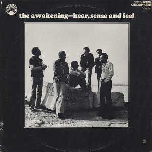 AWAKENING / アウェイクニング / HEAR, SENSE AND FEEL / ヒア、センス・アンド・フィール (国内盤)