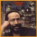 MARVIN GAYE / マーヴィン・ゲイ / MIDNIGHT LOVE