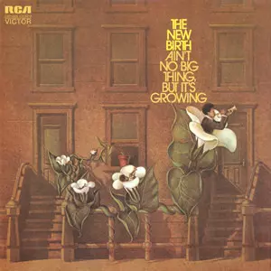 NEW BIRTH / ニュー・バース / AIN'T NO BIG THING, BUT IT'S GROWING (LP)