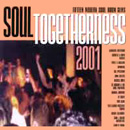 V.A. (SOUL TOGETHERNESS) / SOUL TOGETHERNESS 2001 (LP)
