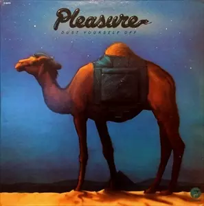 DUST YOURSELF OFF/PLEASURE/プレジャー｜SOUL/BLUES/GOSPEL｜ディスク