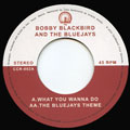 BOBBY BLACKBIRD AND THE BLUEJAYS / WHAT YOU WANNA DO + THE BLUEJAYS THEME