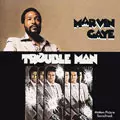 MARVIN GAYE / マーヴィン・ゲイ / TROUBLE MAN
