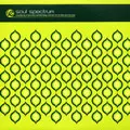 V.A.(SOUL SPECTRUM) / SOUL SPECTRUM VOL.1 COMPILED BY KEB DARGE & DR. BOB JONES